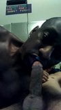 SUKINCOXXX SWALLOWS STRAIGHT SKATERS NUT. snapshot 16