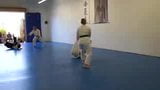 HAPKIDO LA-QUANFA AIKIDO snapshot 9