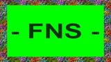 FNS - коллекция дам 04 snapshot 1