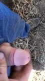 planiting time on the farm what hubby does best snapshot 2