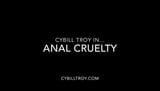 Anal Cruelty snapshot 1