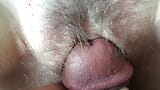 Look inside my pussy snapshot 9