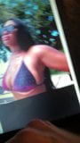 Megan thee stallion cum tribute snapshot 1