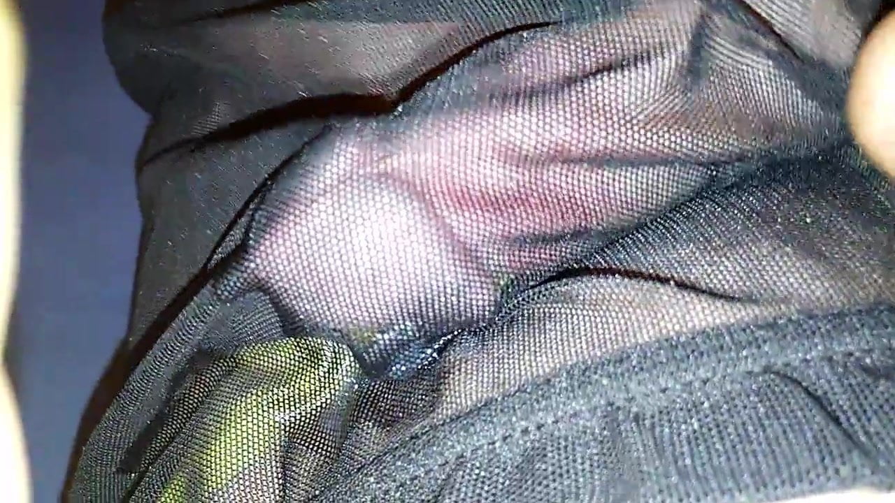 Tanga amarela