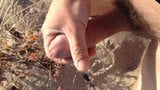 Hairy penis jerked off at the beach snapshot 7