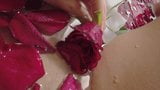 Hoa hồng tắm &amp; ngón tay âm hộ snapshot 3