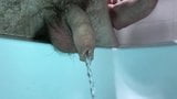 Uncut Foreskin Piss (Slo Mo) snapshot 1