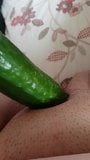 ALISON- BBW FROM SOUTH SHEILDS HAVING CUCUMBER FUN snapshot 1