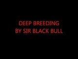 Deep Breeding By Black Bull snapshot 1