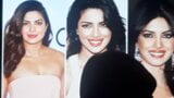 Priyanka chopra ke fati hui chut main chhod diya apna maal snapshot 4