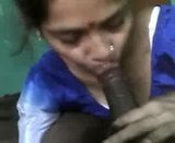 Satin Silk Saree maid sucking dick snapshot 6