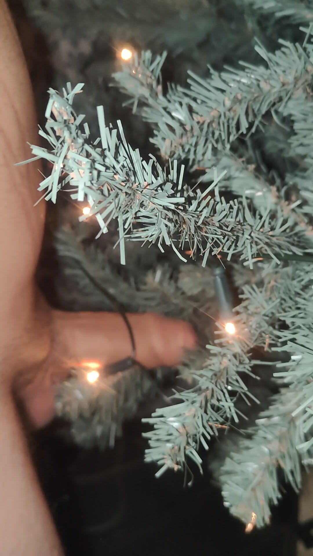 Twink neukt Kerstboom met zijn dikke onbesneden 16 cm lul