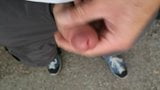 Piss and Cum outdoor in a public park snapshot 7