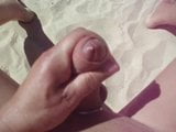 quick wank on the beach snapshot 8