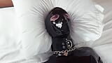 SCALLY RUBBER BONDAGE (HOTEL COLLECTION) snapshot 2