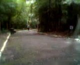 exibindo no bosque de marilia-sp snapshot 1