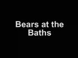 Bath House Bears snapshot 1