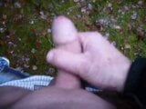 Wank in Forrest snapshot 1