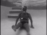 The Webbs underwater snapshot 6