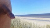 Nude walking through the Dutch dunes snapshot 9