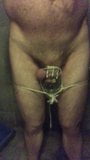 Pee in chastity snapshot 1