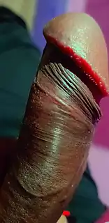 Viral Mms Video Sex Monti Roy Flashing Big Penis: Indian Gay Asian ...