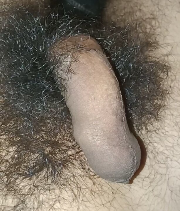 パートナーから大きな黒いペニスをもらったソフィア・ディー