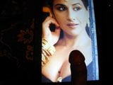 Mi homenaje a vidya balan snapshot 2