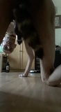 Hamba anjing petplay snapshot 4