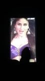 Kareena kapoor 暨致敬 snapshot 2