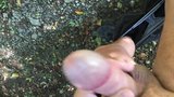 A wank and cum in the woods snapshot 8