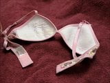 Cum on Little Butterfly Bra snapshot 12