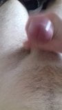 Small cock snapshot 2