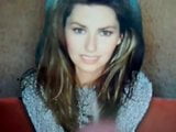 Eerbetoon aan Shania Twain snapshot 2