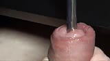 POV Exclusive Internal Cumplosion while sounding 9mm Fluid Cum Fountain w Live Audio snapshot 2