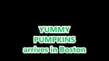 YUMMY PUMPKINS ARRIVES IN BOSTON snapshot 1