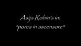 Asija Robin is binnen: fa la porca in Ascensore snapshot 1