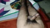 Desi gay Caliente Sexo snapshot 11