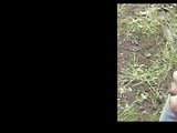 Am See rumwixen und Blasen und Fotze zeigen snapshot 1