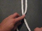 Box Knot snapshot 3