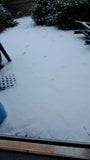 白い雪の中でダーティーガーデンボーイエクストリームレッドハイヒール snapshot 1