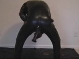 Guy in catsuit and anal dildo snapshot 2