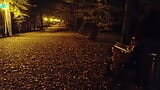 Éjszaka villogtatja a melleit és levetkőzik egy nyilvános parkban snapshot 6