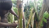 Un bărbat singur în pădure și să facă plantain tree este soție și fute pe ea snapshot 8