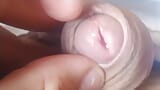 The enlarged glans makes the dick stay drooling and erect for longer. snapshot 4