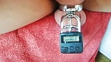 chastity cage with electronic padlock snapshot 1