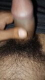 Hairy dick snapshot 1