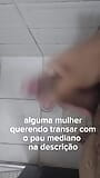 Pau mediano a procura de um gata snapshot 1