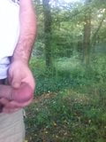 Outdoor pissing with boner and cum snapshot 3