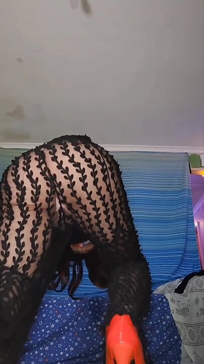 Vista do chão posando em minha calça de renda See Thru antes de removê-las para provocar na minha calcinha